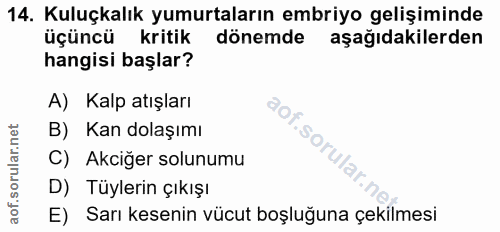 14. soru: Kuluçkalık yumurtaların embriyo gelişiminde üçüncü kritik dönemde aşağıdakilerden hangisi başlar? A) Kalp atışları B)…
