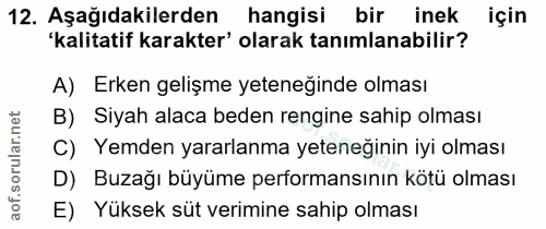 12. soru: Aşağıdakilerden hangisi bir inek için 'kalitatif karakter' olarak tanımlanabilir? A) Erken gelişme yeteneginde olması…