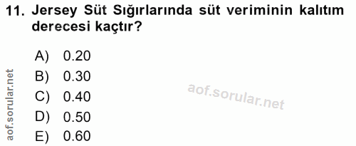 11. soru: Jersey Süt Sığırlarında süt veriminin kalıtım derecesi kaçtır? A) 0.20 B) 0.30 C) 0.40 D) 0.50 E) 0.60