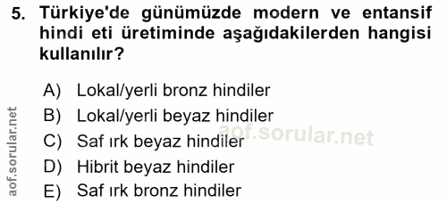5. soru: Türkiye'de günümüzde modern ve entansif hindi eti üretiminde aşağıdakilerden hangisi kullanılır? A) Lokal/yerli bronz…