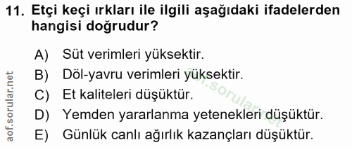 11. soru: Etçi keçi ırkları ile ilgili aşağıdaki ifadelerden hangisi doğrudur? A) Sut verimleri yüksektir. B) Döl-yavru verimle…