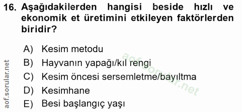 16. soru: Aşağıdakilerden hangisi beside hızlı ve ekonomik et üretimini etkileyen faktörlerden biridir? A) Kesim metodu B) Hayv…