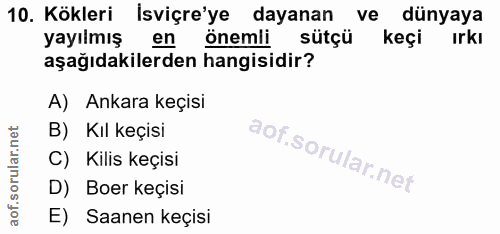 10. soru: Kökleri İsviçre'ye dayanan ve • dünyaya yayılmış en önemli sütçü keçi Irkı aşağıdakilerden hangisidir? A) Ankara keçi…