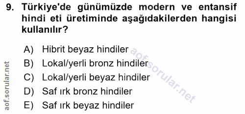 9. soru: Türkiye'de günümüzde modern ve entansif hindi eti üretiminde aşağıdakilerden hangisi kullanılır? A) Hibrit beyaz hind…