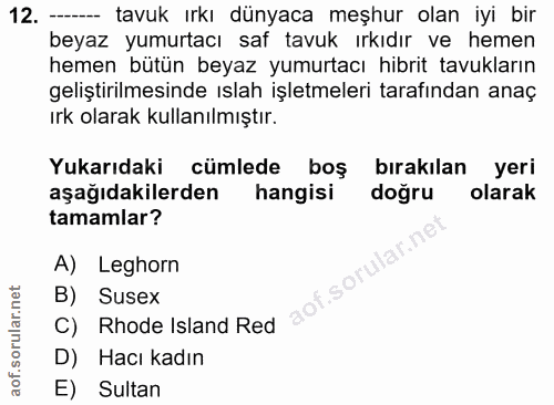 12. soru: - tavuk ırkı dünyaca meşhur olan iyi bir beyaz yumurtacı saf tavuk ırkıdır ve hemen hemen bütün beyaz yumurtacı hibri…