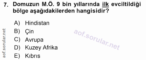 7. soru: Domuzun M.Ö. 9 bin yıllarında ilk evciltildiği bölge aşağıdakilerden hangisidir? A) Hindistan B) Çin C) Avrupa D) Kuz…