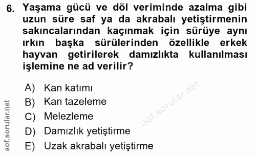 6. soru: Yaşama gücü ve döl veriminde azalma gibi uzun süre saf ya da akrabalı yetiştirmenin sakıncalarından kaçınmak için sür…