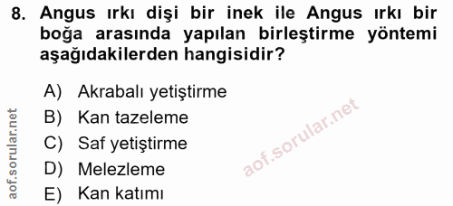 8. soru: Angus ırkı dişi bir inek ile Angus ırkı bir boğa arasında yapılan birleştirme yöntemi aşağıdakilerden hangisidir? A)…