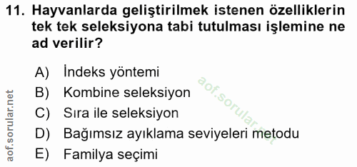 11. soru: Hayvanlarda geliştirilmek istenen özelliklerin tek tek seleksiyona tabi tutulması işlemine ne ad verilir? A) Indeks y…