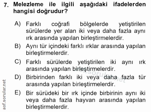7. soru: Melezleme ile ilgili aşağıdaki ifadelerden hangisi doğrudur? A) Farklı coğrafi bölgelerde yetiştirilen sürülerde yer…