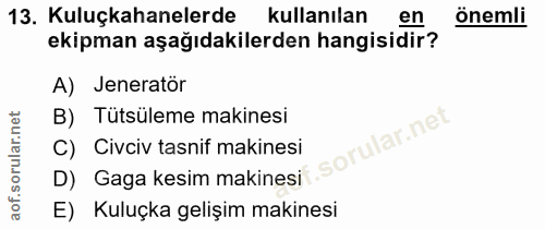 13. soru: Kuluçkahanelerde kullanılan en önemli ekipman aşağıdakilerden hangisidir? A) Jenerator B) Tütsüleme makinesi orular.n…