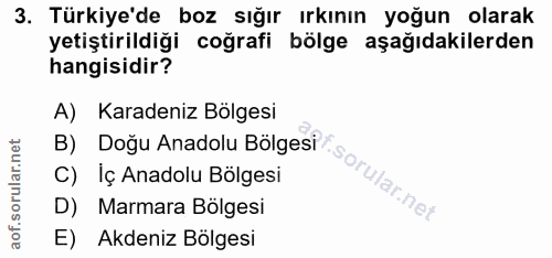 3. soru: Türkiye'de boz sığır ırkının yoğun olarak yetiştirildiği coğrafi bölge aşağıdakilerden hangisidir? A) Karadeniz Bölge…