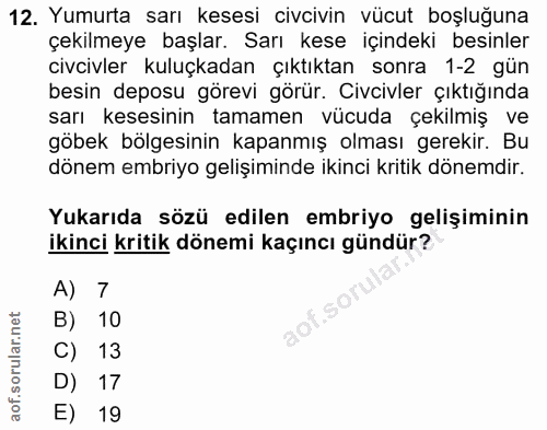 12. soru: Yumurta sarı kesesi civcivin vücut boşluğuna çekilmeye başlar. Sarı kese içindeki besinler civcivler kuluçkadan çıktı…