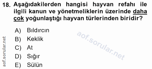 18. soru: Aşağıdakilerden hangisi hayvan refahı ile ilgili kanun ve yönetmeliklerin üzerinde daha çok yoğunlaştığı hayvan türle…