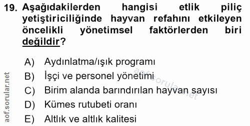19. soru: Aşağıdakilerden hangisi etlik piliç yetiştiriciliğinde hayvan refahını etkileyen öncelikli yönetimsel faktörlerden bi…