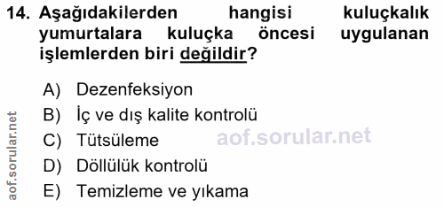 14. soru: Aşağıdakilerden hangisi kuluçkalık yumurtalara kuluçka öncesi uygulanan işlemlerden biri değildir? A) Dezenfeksiyon B…