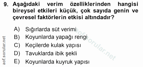 9. soru: Aşağıdaki verim özelliklerinden hangisi bireysel etkileri küçük, çok sayıda genin ve çevresel faktörlerin etkisi altı…