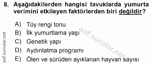 8. soru: Aşağıdakilerden hangisi tavuklarda yumurta verimini etkileyen faktörlerden biri değildir? A) Tüy rengi tonu B) lIk yu…