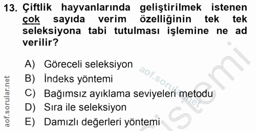 13. soru: Çiftlik hayvanlarında geliştirilmek istenen çok sayıda verim özelliğinin l tek tek seleksiyona tabi tutulması işlemin…