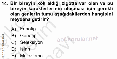 14. soru: Bir bireyin kök aldığı zigotta var olan ve bu bireyin karakterlerinin oluşması için gerekli olan genlerin tümü aşağıd…