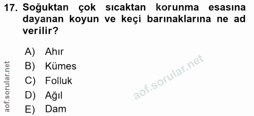 17. soru: Soğuktan çok sıcaktan korunma esasına dayanan koyun ve keçi barınaklarına ne ad verilir? A) Ahır B) Kümes C) Folluk D…