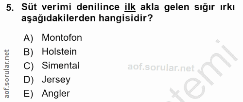 5. soru: Süt verimi denilince ilk akla gelen sığır ırkı aşağıdakilerden hangisidir? A) Montofon B) Holstein C) Simental D) Jer…