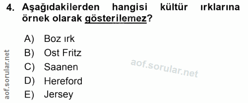 4. soru: Aşağıdakilerden hangisi kültür ırklarına örnek olarak gösterilemez? A) Boz ırk orular.net B) Ost Fritz C) Saanen D) H…