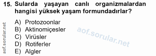 15. soru: Sularda yaşayan canli organizmalardan hangisi yüksek yaşam formundadırlar? A) Protozoonlar B) Aktinomiçesler C) Virüs…
