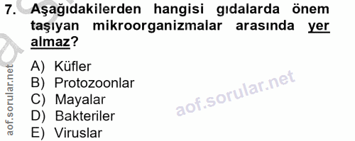 7. soru: Aşağıdakilerden hangisi gıdalarda önem taşıyan mikroorganizmalar arasında yer almaz? A) Küfler B) Protozoonlar C) May…