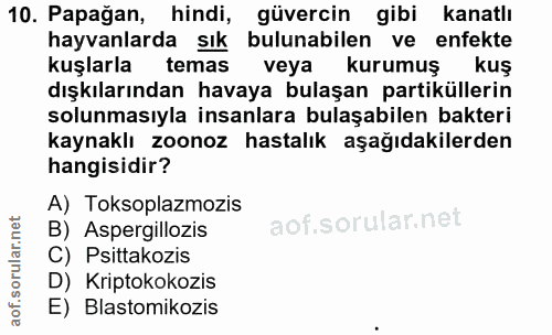 10. soru: Papağan, hindi, güvercin gibi kanatlı hayvanlarda sık bulunabilen ve enfekte kuşlarla temas veya kurumuş kuş dışkılar…
