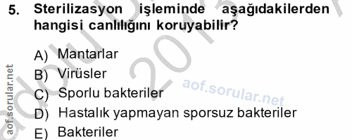 5. soru: Sterilizasyon işleminde aşağıdakilerden hangisi canlılığını koruyabilir? A) Mantarlar B) Virüsler C) Sporlu bakterile…