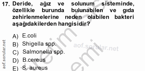17. soru: Deride, ağız ve solunum sisteminde, özellikle burunda bulunabilen ve gida zehirlenmelerine neden olabilen bakteri aşa…