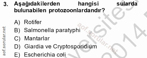 3. soru: Aşağıdakilerden hangisi sularda bulunabilen protozoonlardandır? site A) Rotifer B) Salmonella paratyphi C) Mantarlar…