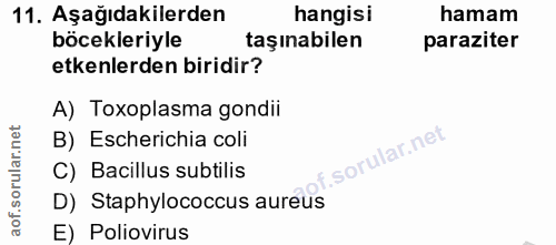 11. soru: Aşağıdakilerden hangisi hamam böcekleriyle taşınabilen paraziter etkenlerden biridir? A) Toxoplasma gondii orular.net…