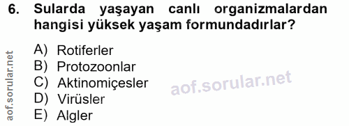 6. soru: Sularda yaşayan canlı organizmalardan hangisi yüksek yaşam formundadırlar? A) Rotiferler B) Protozoonlar C) Aktinomiç…