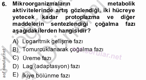 6. soru: Mikroorganizmaların metabolik aktivitelerinde artış gözlendiği, iki hücreye yetecek, kadar protoplazma ve diğer madde…