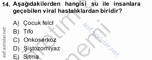 14. soru: Aşağıdakilerden hangisi su ile insanlara geçebilen viral hastalıklardan biridir? A) Çocuk felci B) Tifo C) Onkoserkoz…