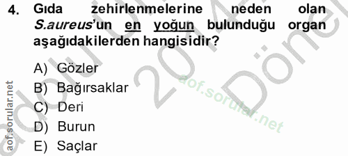 4. soru: Gıda zehirlenmelerine neden olan S.aureus un en yoğun bulunduğu organ aşağıdakilerden hangisidir? A) Gözler B) Bağırs…