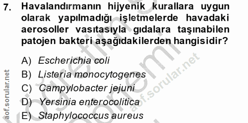 7. soru: Havalandırmanın hijyenik kurallara uygun olarak yapılmadığı işletmelerde havadaki aerosoller vasıtasıyla gıdalara taş…