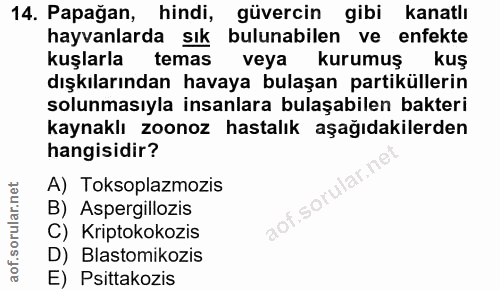 14. soru: Papağan, hindi, güvercin gibi kanatlı hayvanlarda sık bulunabilen ve enfekte kuşlarla temas veya kurumuş kuş dışkılar…