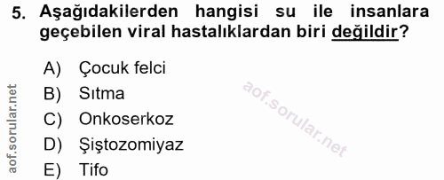 5. soru: Aşağıdakilerden hangisi su ile insanlara geçebilen viral hastalıklardan biri değildir? A) Çocuk felci B) Sıtma C) Onk…