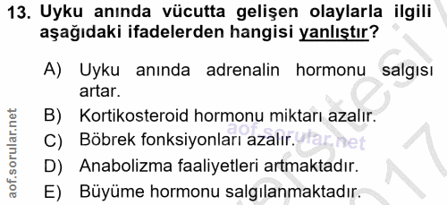 13. soru: Uyku anında vücutta gelişen olaylarla ilgili aşağıdaki ifadelerden hangisi yanlıştır? A) Uyku anında adrenalin hormon…