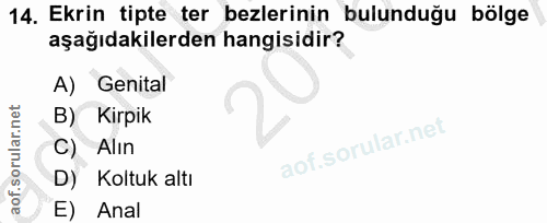14. soru: Ekrin tipte ter bezlerinin bulunduğu bölge aşağıdakilerden hangisidir? A) Genital B) Kirpik C) Alın D) Koltuk altı E)…