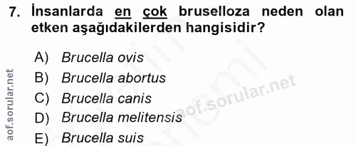 7. soru: Insanlarda en çok bruselloza neden olan etken aşağıdakilerden hangisidir? A) Brucella ovis B) Brucella abortus C) Bru…