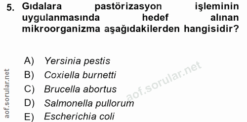 5. soru: Gidalara pastörizasyon işleminin uygulanmasında hedef alınan mikroorganizma aşağıdakilerden hangisidir? A) Yersinia p…