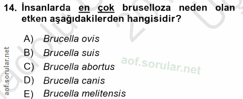 14. soru: Insanlarda en çok bruselloza neden olan etken aşağıdakilerden hangisidir? A) Brucella ovis B) Brucella suis C) Brucel…