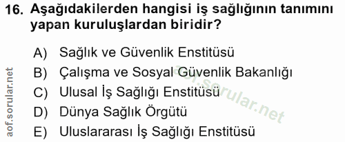 16. soru: Aşağıdakilerden hangisi iş sağlığının tanımını yapan kuruluşlardan biridir? A) Sağlık ve Güvenlik Enstitüsü B) Çalışm…