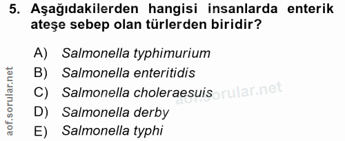 5. soru: Aşağıdakilerden hangisi insanlarda enterik ateşe sebep olan türlerden biridir? A) Salmonella typhimurium B) Salmonell…