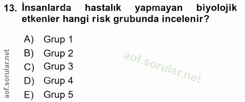 13. soru: İnsanlarda hastalık yapmayan biyolojik etkenler hangi risk grubunda incelenir? A) Grup 1 B) Grup 2 C) Grup 3 D) Grup…