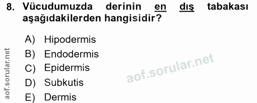 8. soru: Vücudumuzda derinin en dIs tabakası aşağıdakilerden hangisidir? A) Hipodermis B) Endodermis C) Epidermis D) Subkutis…